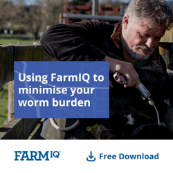Download the worm burden guide