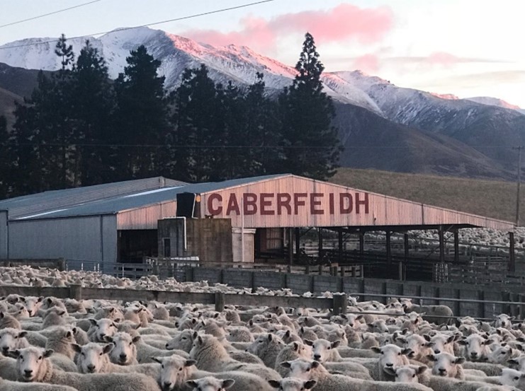 Case Study: Getting everyone on the same page at Caberfeidh Station